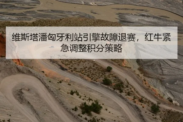 维斯塔潘匈牙利站引擎故障退赛，红牛紧急调整积分策略