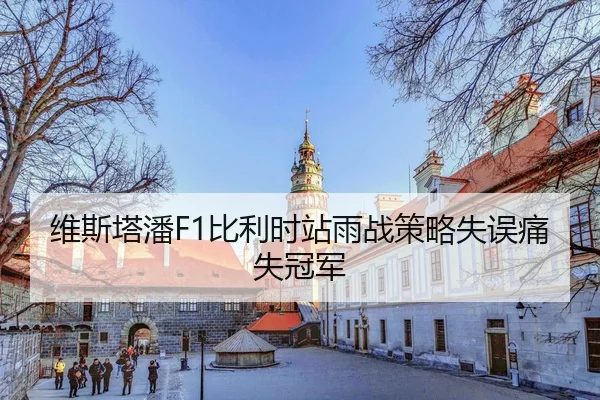 wei-si-ta-pan-bi-li-shi-zhan-yu-zhan-ce-lve-shi-wu-tong-shi-guan-jun-3-621.jpg