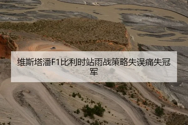 维斯塔潘F1比利时站雨战策略失误痛失冠军