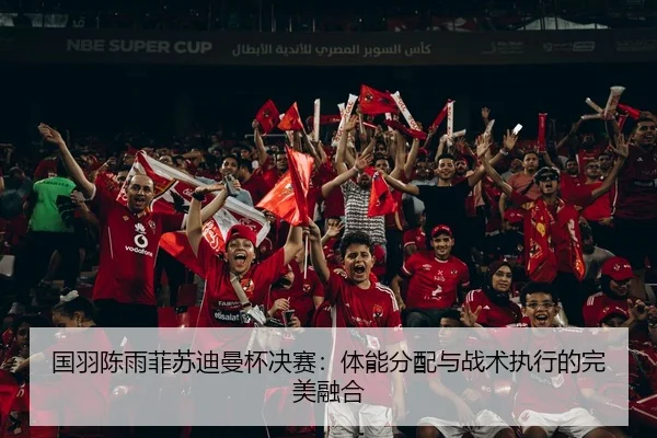 国羽陈雨菲苏迪曼杯决赛：体能分配与战术执行的完美融合